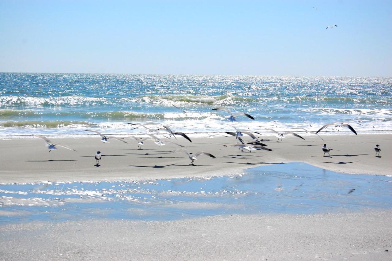 Apartament Waterpoint II 402 Myrtle Beach Zewnętrze zdjęcie